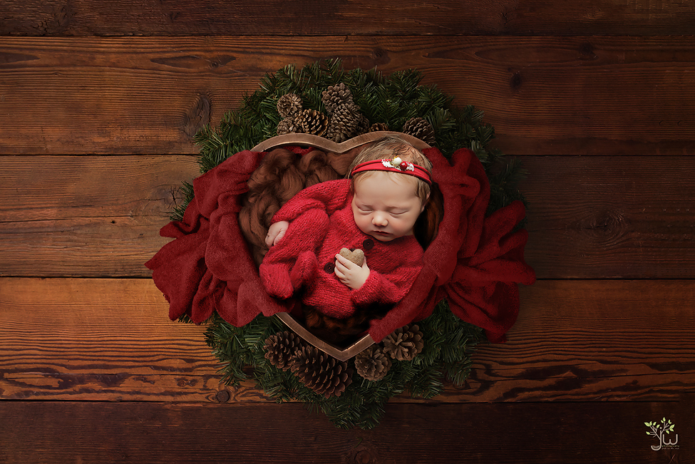 Tacoma newborn photographer